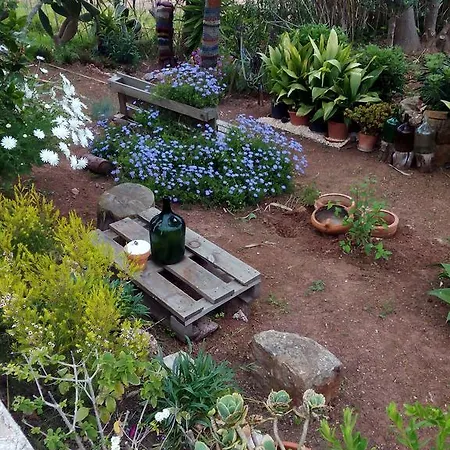Vivenda Familia Pedro Penzion