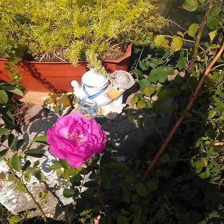 Penzion Vivenda Familia Pedro 2*