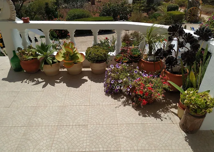 Vivenda Familia Pedro Vila do Bispo