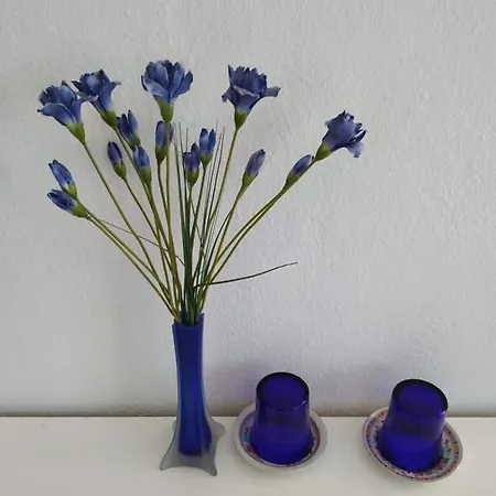 Gasthuis Vivenda Familia Pedro Vila do Bispo