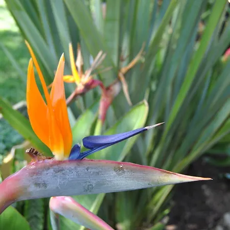 Vivenda Familia Pedro 2* Vila do Bispo