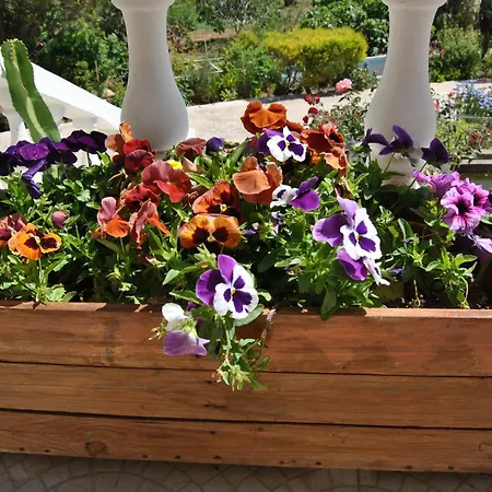 Vivenda Familia Pedro Gasthuis 2*