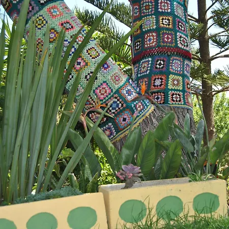 Vivenda Familia Pedro