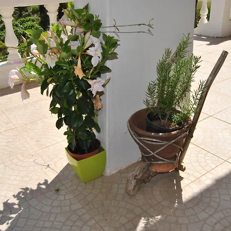 Vivenda Familia Pedro Guest house