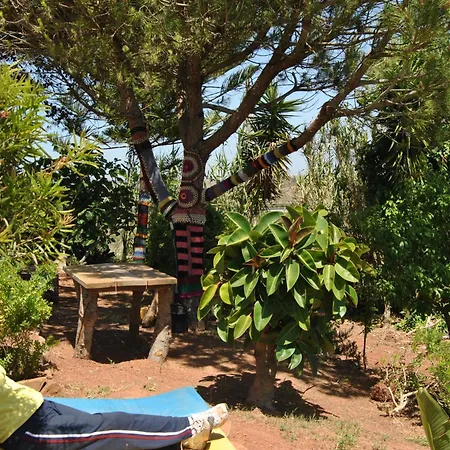 Vivenda Familia Pedro Vila do Bispo