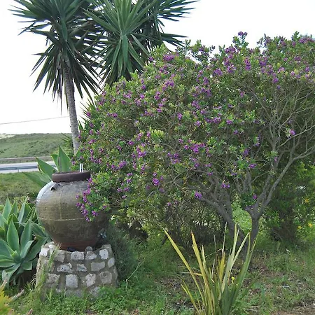 Gasthuis Vivenda Familia Pedro