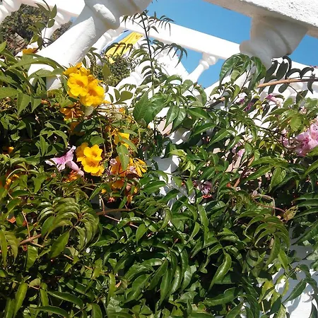 Gasthuis Vivenda Familia Pedro Vila do Bispo