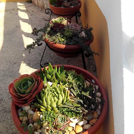 Vivenda Familia Pedro Gasthuis