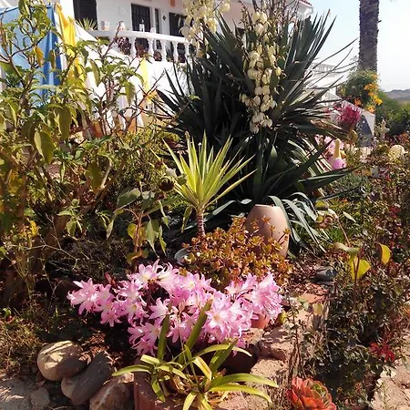 Vivenda Familia Pedro Casa de hóspedes