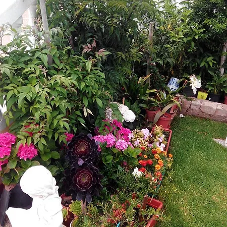 Vivenda Familia Pedro Gasthuis