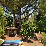 Vivenda Familia Pedro Vila do Bispo