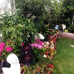 Vivenda Familia Pedro Penzion