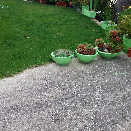 Vendégház Vivenda Familia Pedro 2*
